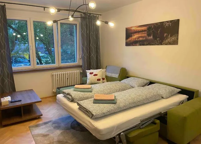 New Spacious One-Room Apartment