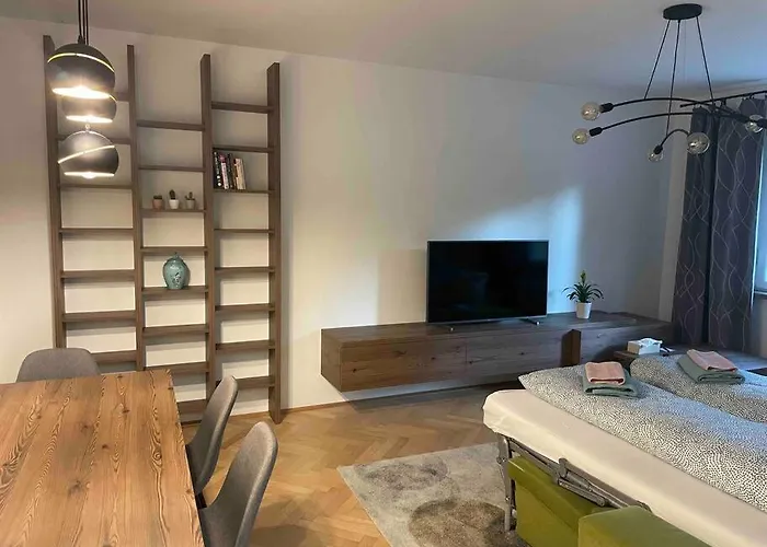 New Spacious One-Room Apartment