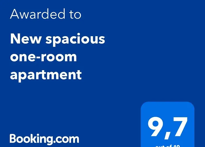 New Spacious One-Room Apartment